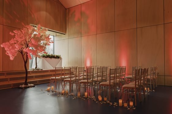 image shows a space set up for a wedding with loads of chairs in rows and pink decorations and trees around the room